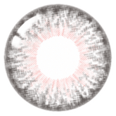 Lenstown 247 Fit 1-Day Gray (10 Pack)